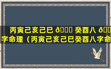 丙寅己亥己巳 🕊 癸酉八 🐕 字命理（丙寅己亥己巳癸酉八字命理解析）